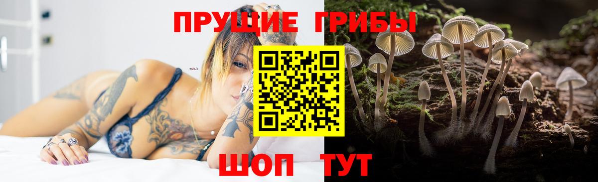 Галлюциногенные грибы мухоморы  где продают   Сухой Лог  Вход с VPN  Галлюциногенные грибы прущие грибы 